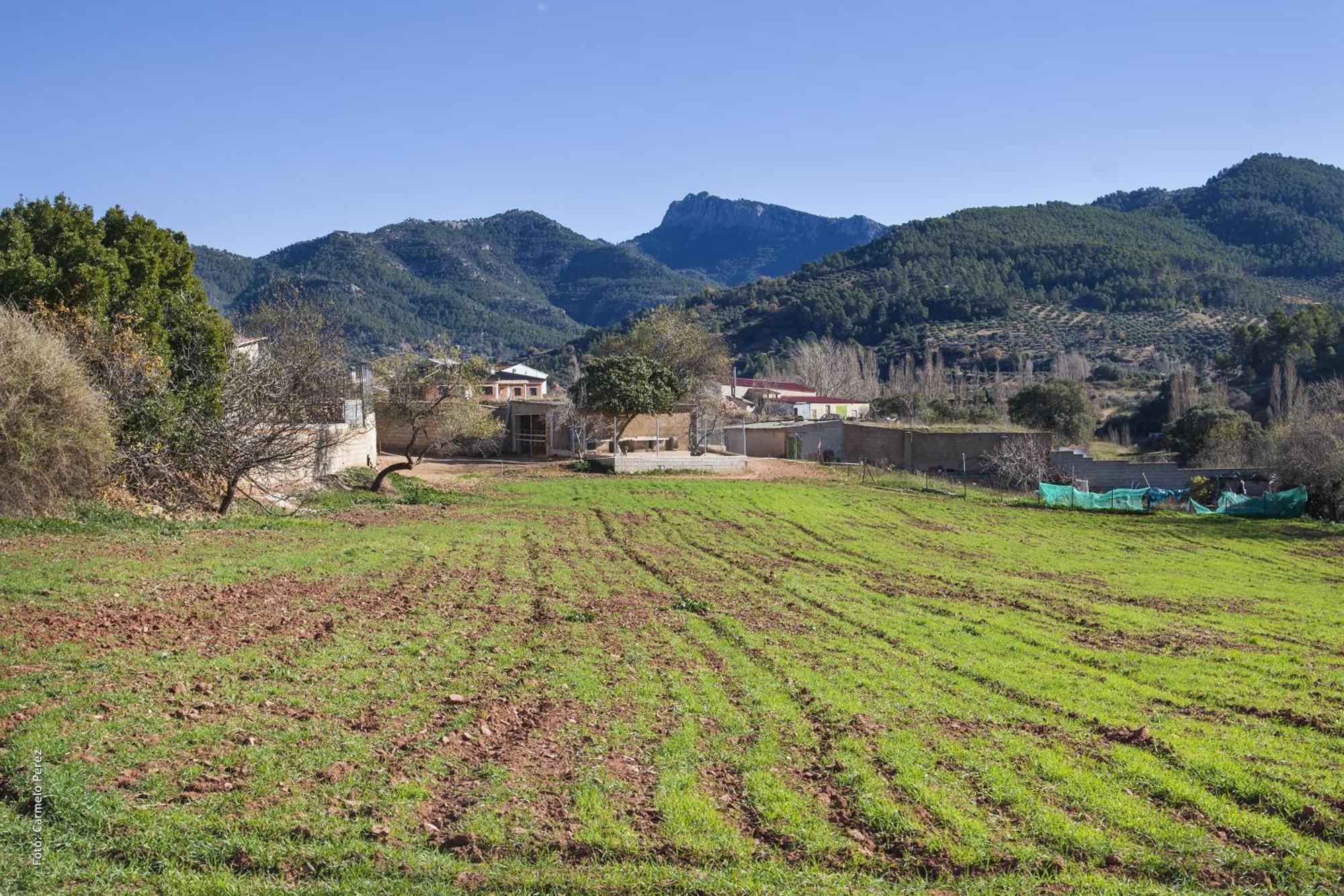 Casa Rural Chache Casto Bienservida Luaran gambar